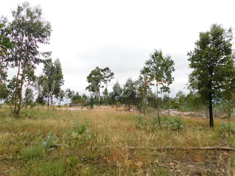 Terreno  Seia, Sameice - 1254616 - 19