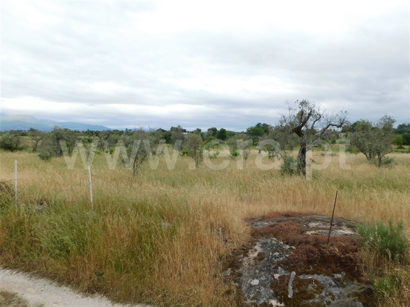 Terreno / Seia, Sameice
