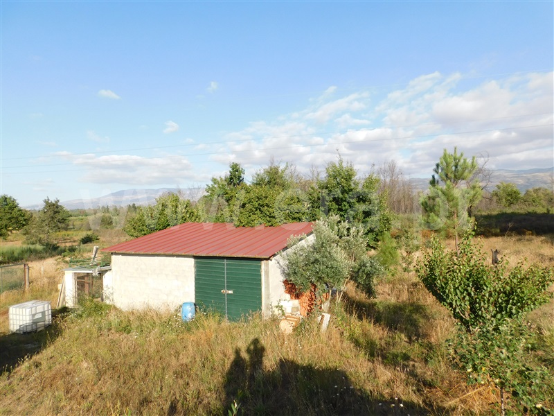 Terreno  Seia, Santa Comba - 1028421 - 1