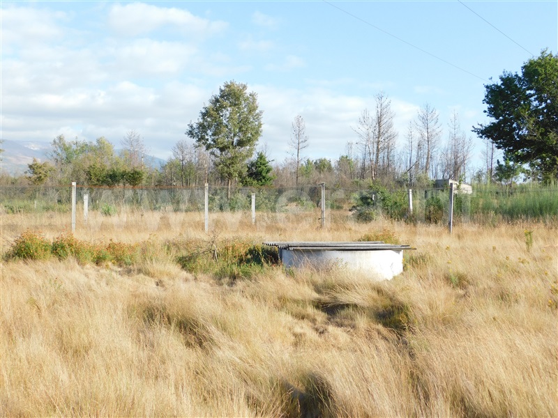 Terreno  Seia, Santa Comba - 1028421 - 13