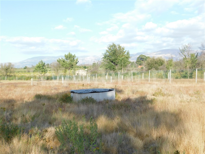 Terreno  Seia, Santa Comba - 1028421 - 14