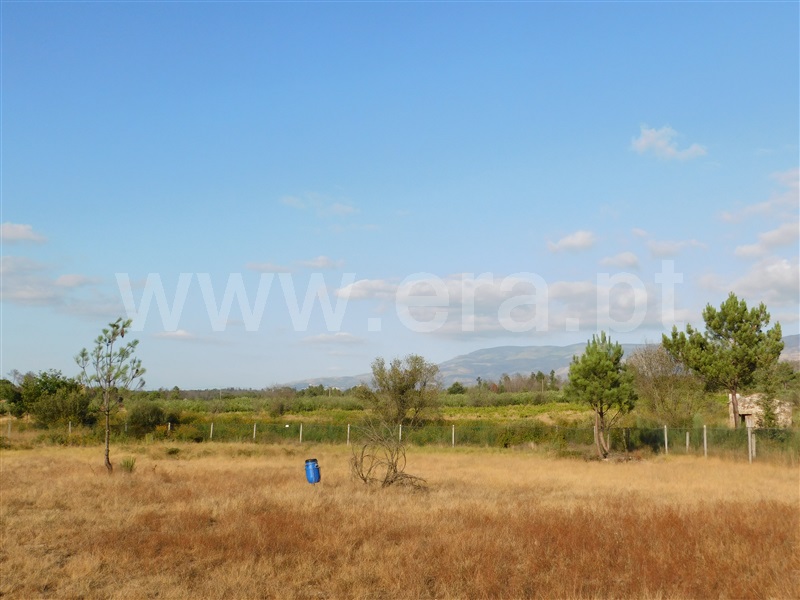 Terreno / Seia, Santa Comba