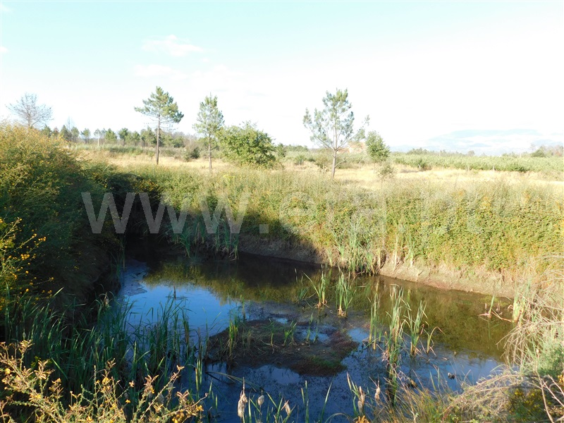 Terreno  Seia, Santa Comba - 1028421 - 17