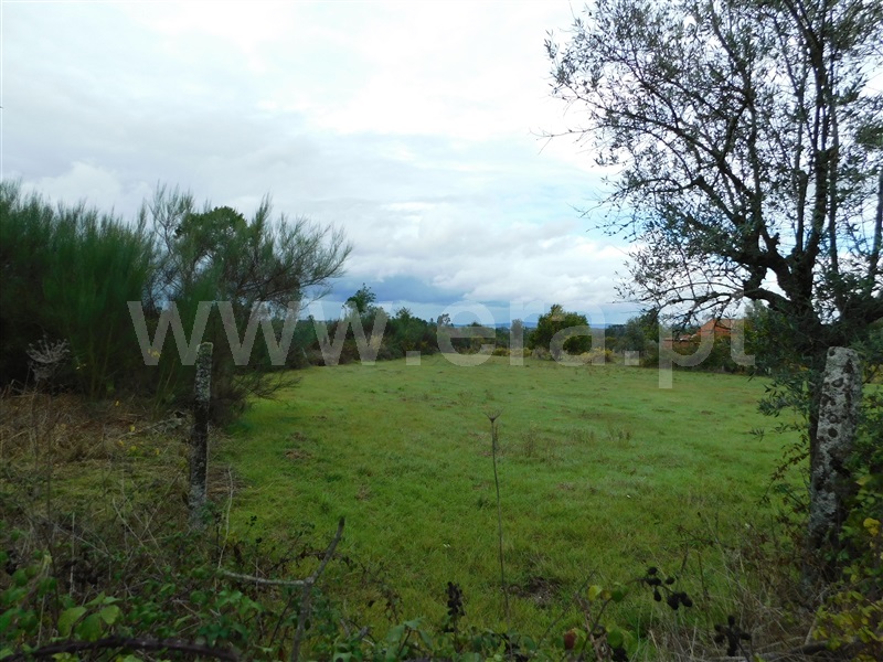 Terreno  Seia, Santa Comba - 1283810 - 3