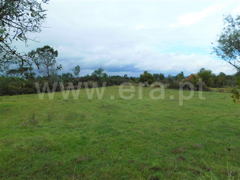 Terreno  Seia, Santa Comba - 1283810 - 4