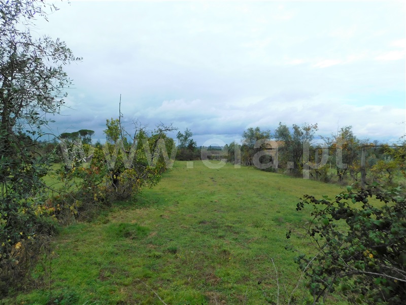Terreno  Seia, Santa Comba - 1283810 - 5