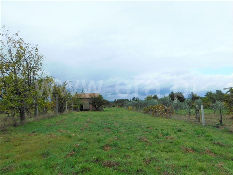 Terreno / Seia, Santa Comba
