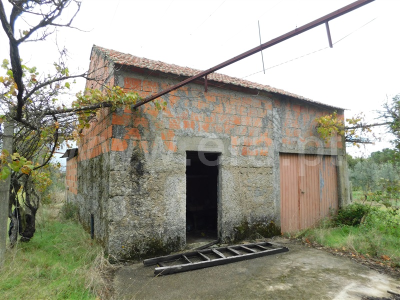 Terreno  Seia, Santa Comba - 1283810 - 8