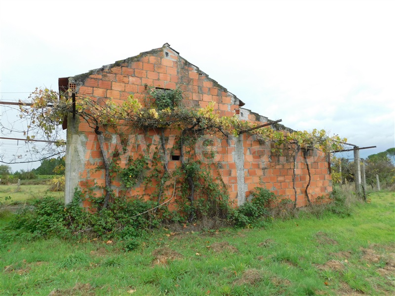 Terreno  Seia, Santa Comba - 1283810 - 9