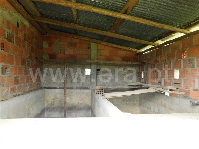 Terreno  Seia, Santa Comba - 1283810 - 11