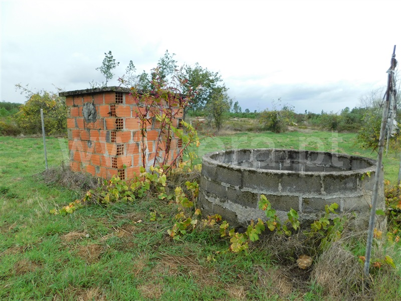 Terreno  Seia, Santa Comba - 1283810 - 14