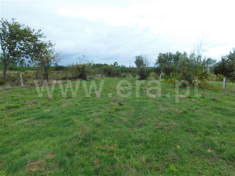Terreno  Seia, Santa Comba - 1283810 - 15