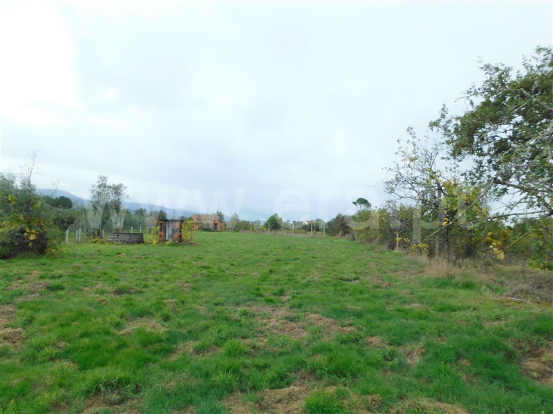 Terreno  Seia, Santa Comba - 1283810 - 16