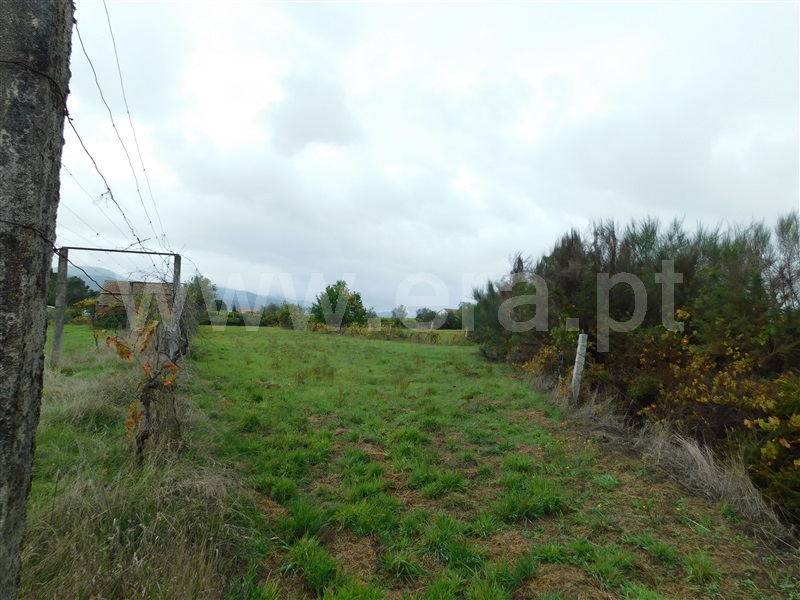 Terreno  Seia, Santa Comba - 1283810 - 17