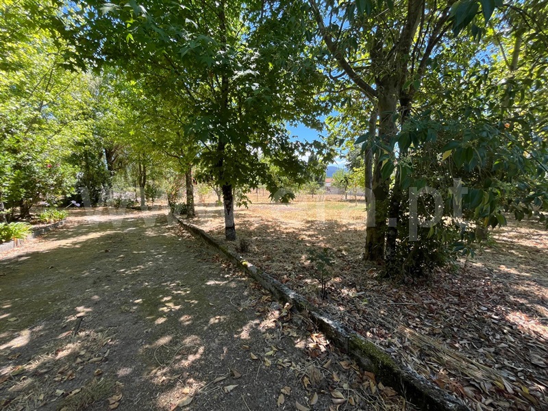 Terreno  Seia, Santa Comba - 1492844 - 1
