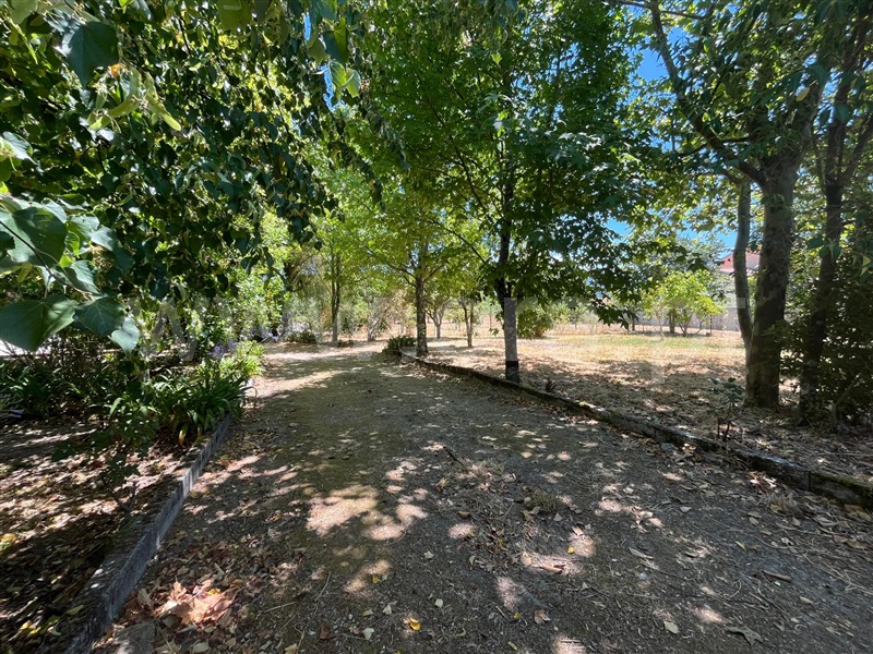 Terreno  Seia, Santa Comba - 1492844 - 3
