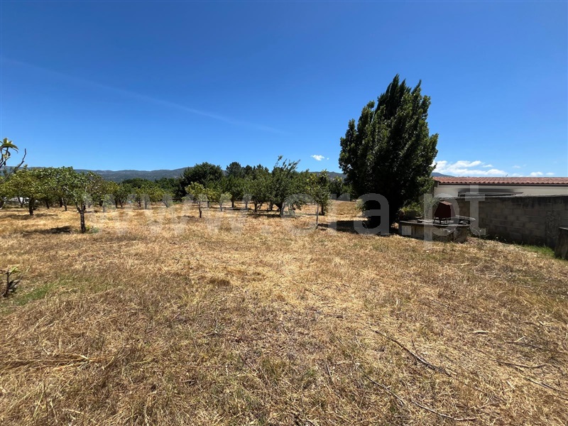 Terreno  Seia, Santa Comba - 1492844 - 4