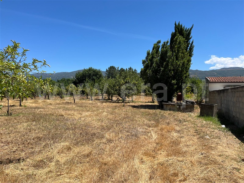 Terreno  Seia, Santa Comba - 1492844 - 5