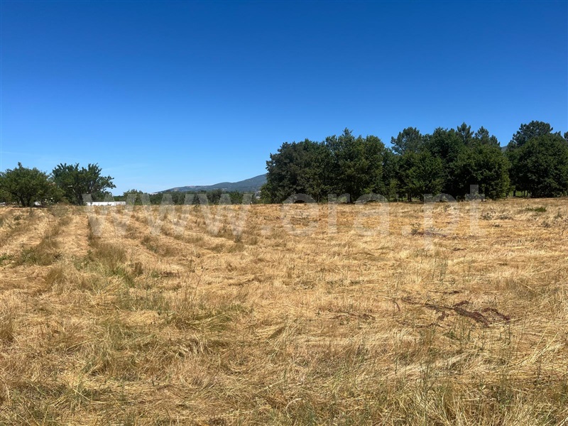 Terreno  Seia, Santa Comba - 1492844 - 6