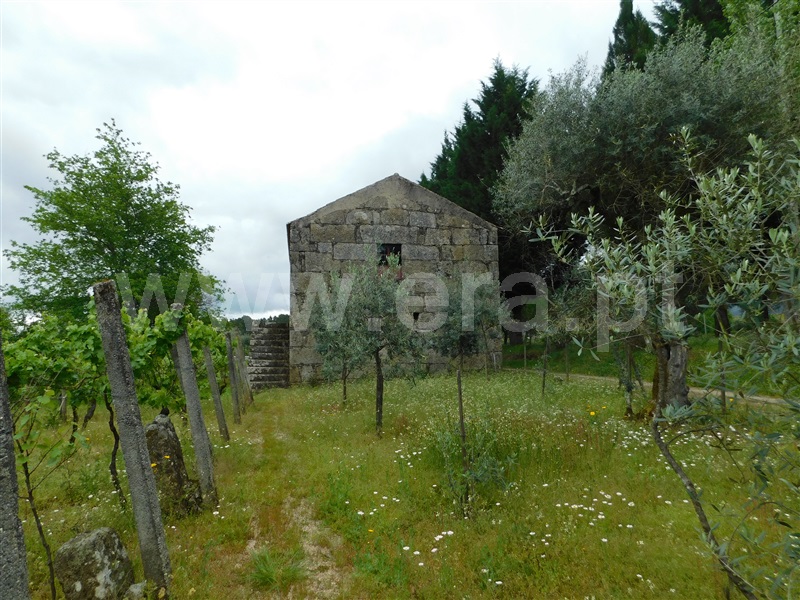 Terreno / Seia, Santa Comba