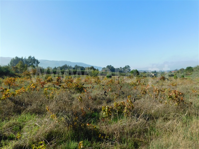 Terreno  Seia, Santa Marinha e São Martinho - 1281500 - 4
