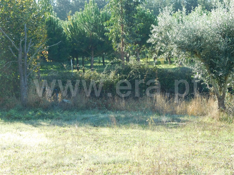 Terreno  Seia, Santa Marinha e São Martinho - 1281500 - 10
