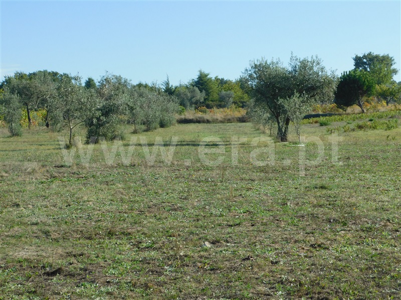 Terreno  Seia, Santa Marinha e São Martinho - 1281500 - 13