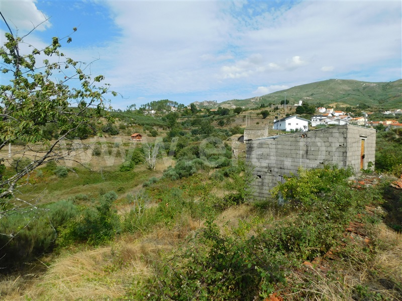 Terreno  Seia, Santa Marinha e São Martinho - 1354386 - 8
