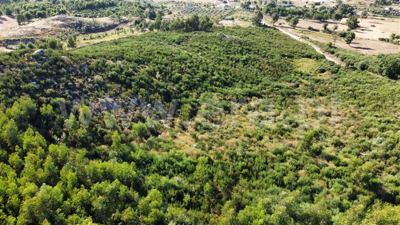 Terreno / Seia, Santa Marinha, Seia