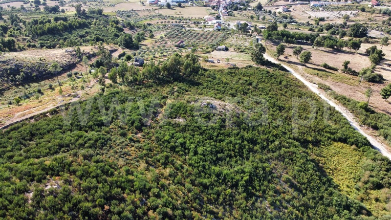 Terreno  Seia, Santa Marinha e São Martinho - 1347038 - 4