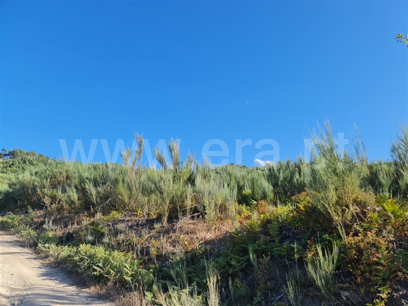 Terreno  Seia, Santa Marinha e São Martinho - 1347038 - 8