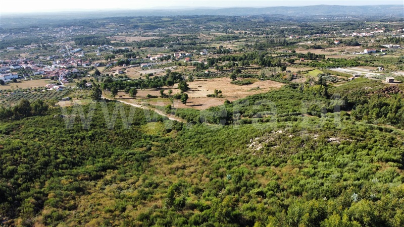 Terreno  Seia, Santa Marinha e São Martinho - 1347038 - 10