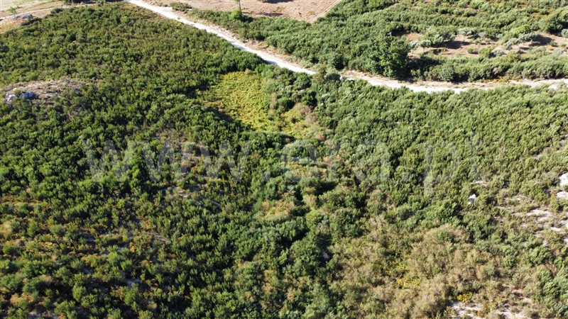 Terreno  Seia, Santa Marinha e São Martinho - 1347038 - 13