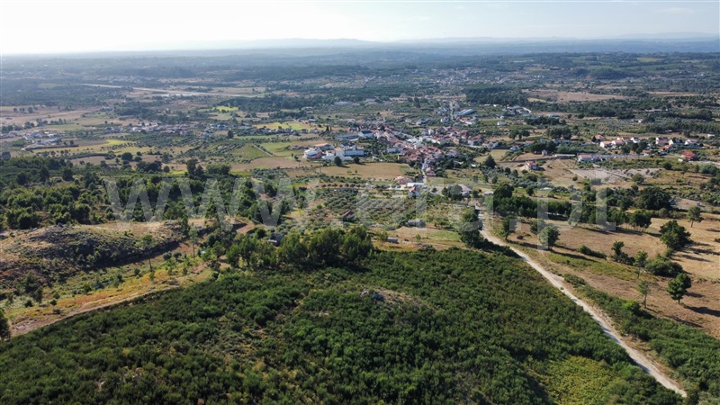 Terreno  Seia, Santa Marinha e São Martinho - 1347038 - 15