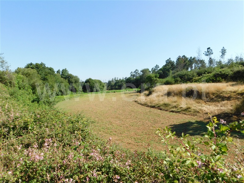 Terreno / Seia, Santiago