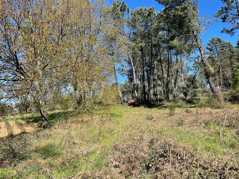 Terreno / Seia, Santiago