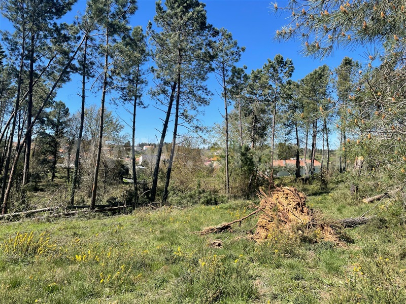 Terreno  Seia, Santiago - 1474663 - 2