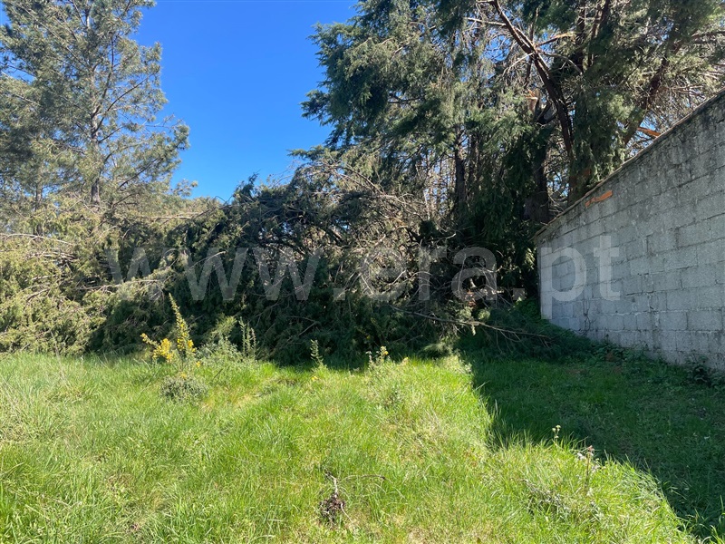 Terreno  Seia, Santiago - 1474663 - 4