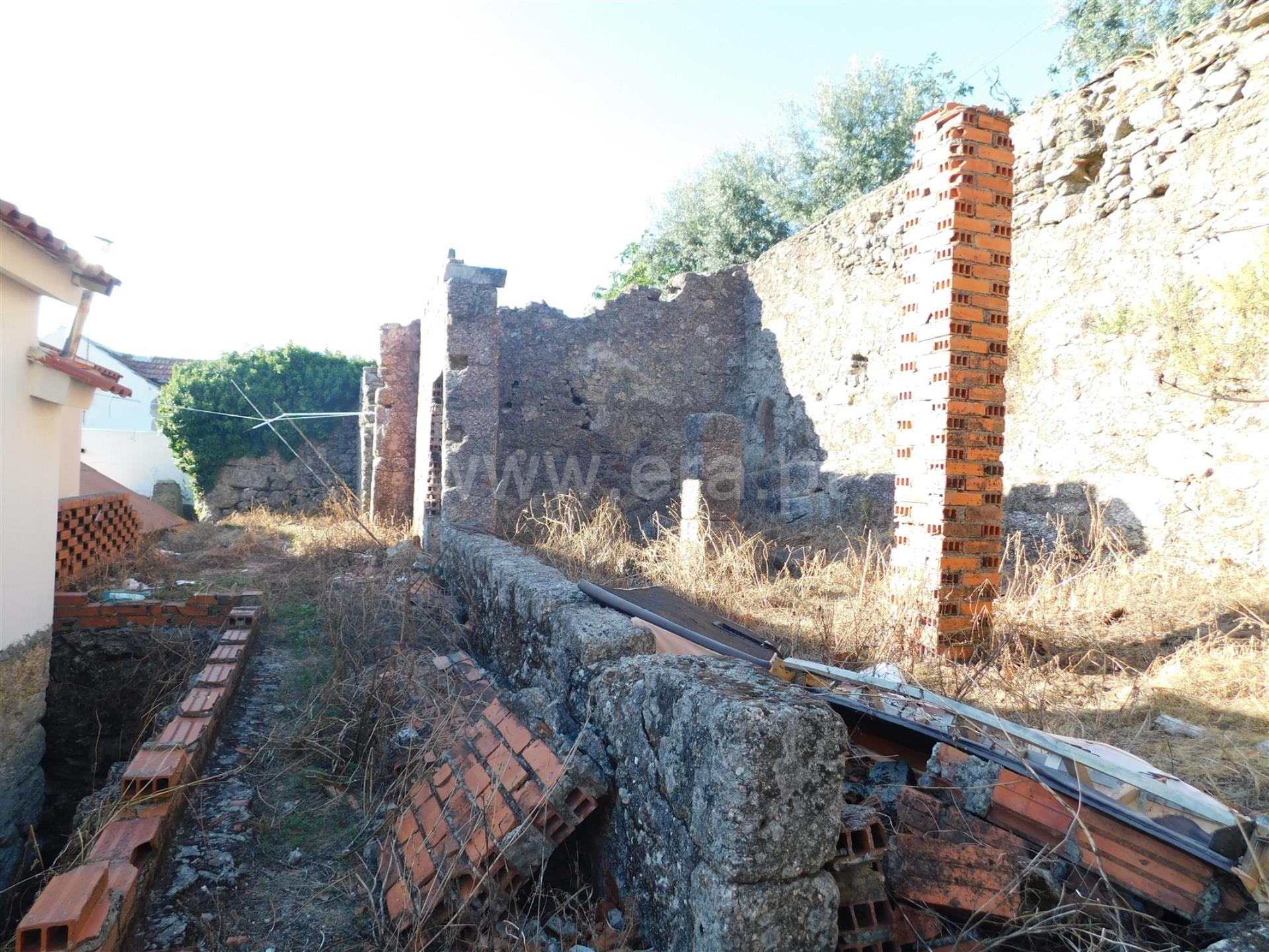 Terreno 