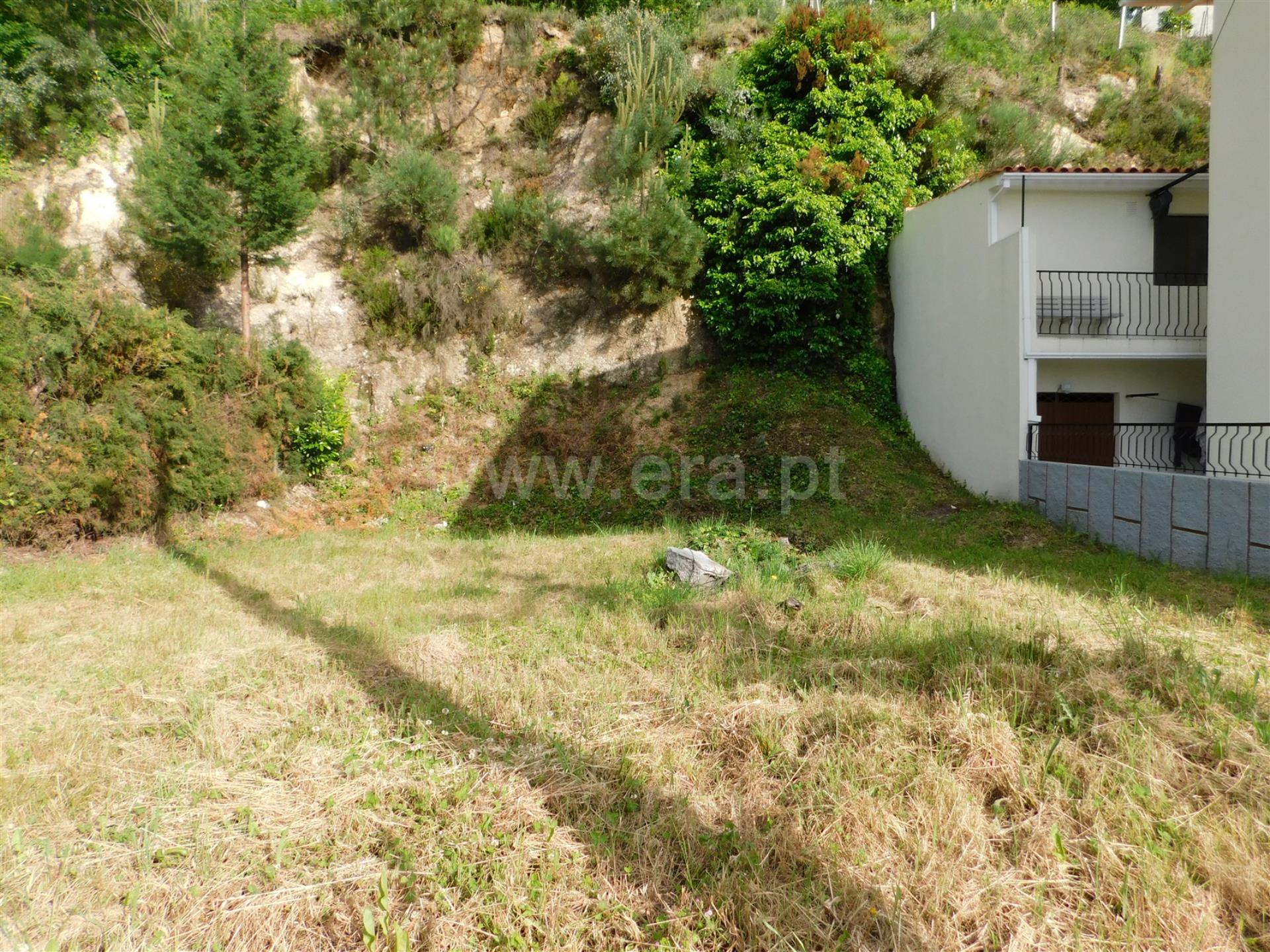 Terreno