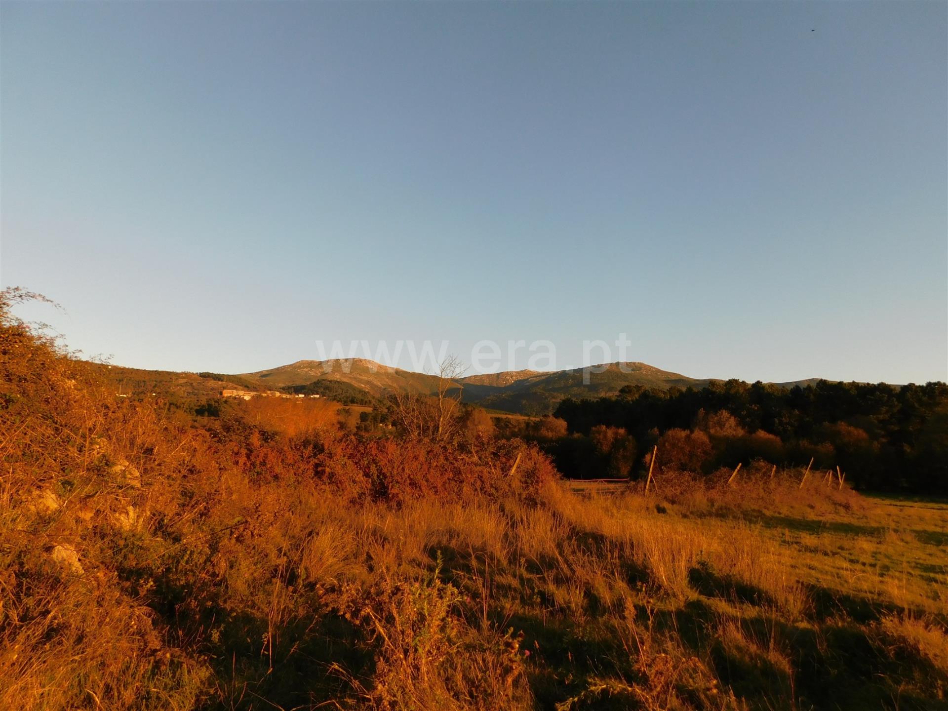 Terreno