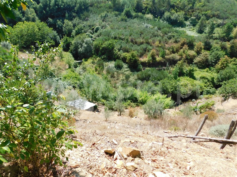 Terreno / Seia, Sazes da Beira
