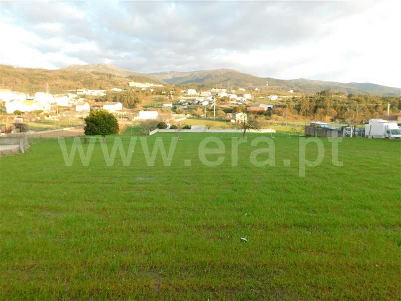 Terreno / Seia, Seia, São Romão e Lapa dos Dinheiros