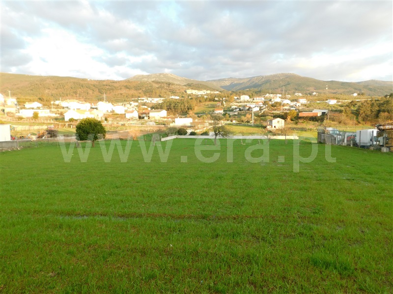 Terreno  Seia, Seia, São Romão e Lapa dos Dinheiros - 1316239 - 2