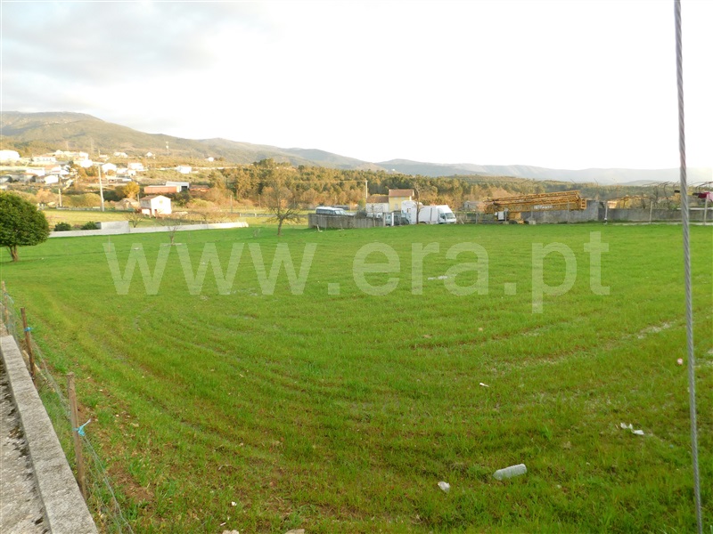 Terreno  Seia, Seia, São Romão e Lapa dos Dinheiros - 1316239 - 6