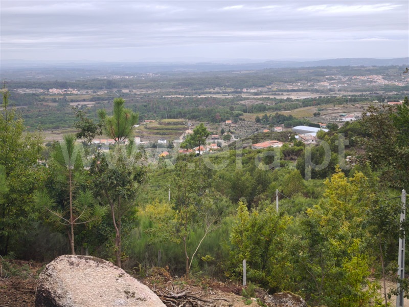 Terreno / Seia, Seia, São Romão e Lapa dos Dinheiros