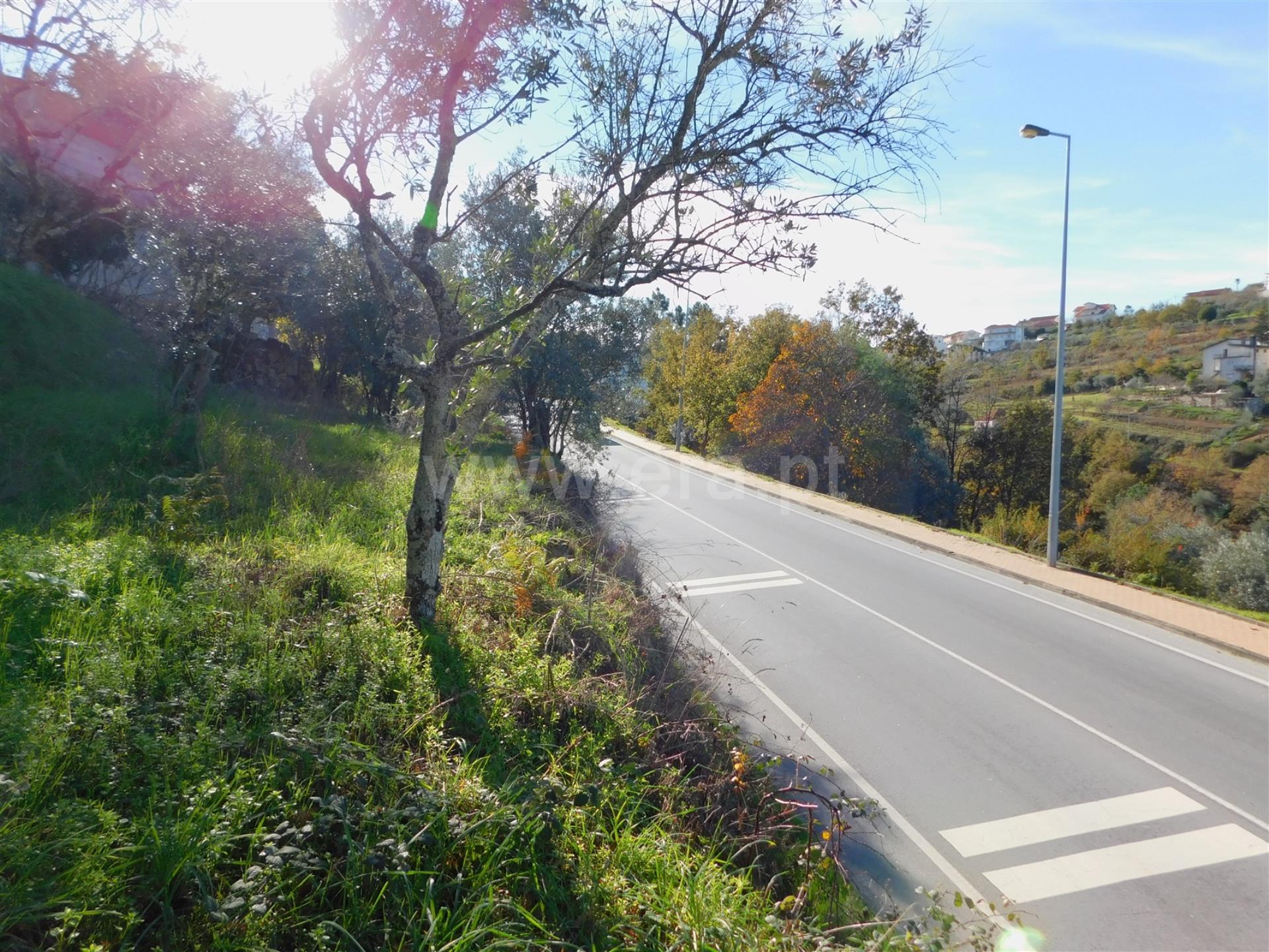 Rua 
