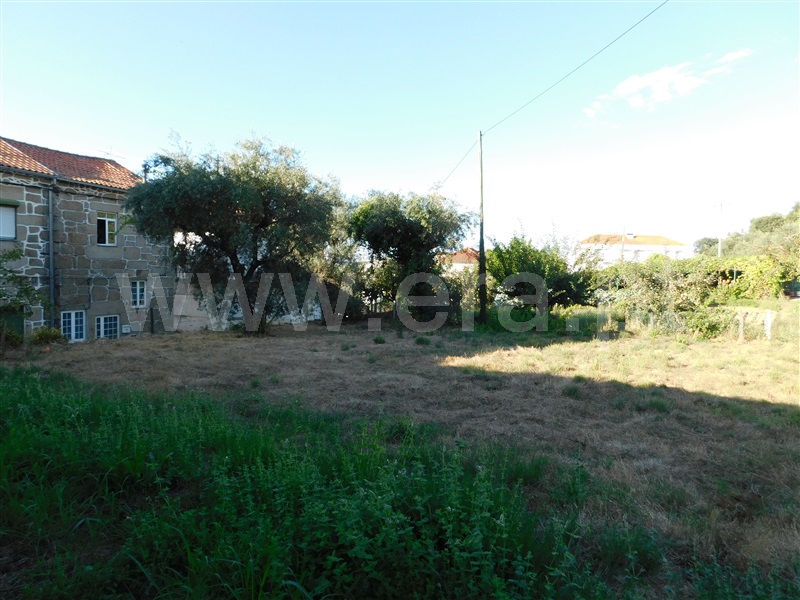 Terreno / Seia, Seia