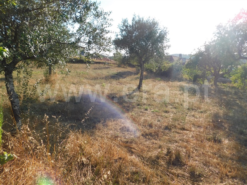 Terreno  Seia, Seia - 1196805 - 5