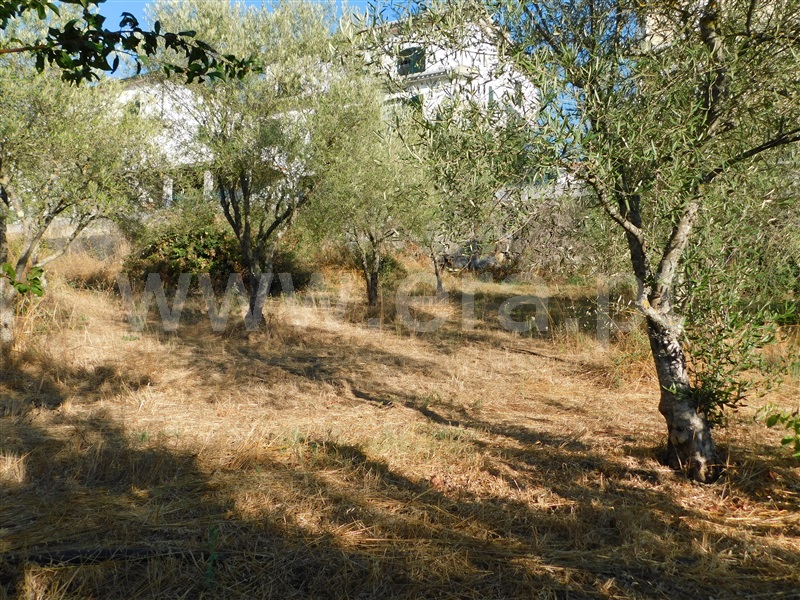 Terreno  Seia, Seia - 1196805 - 7